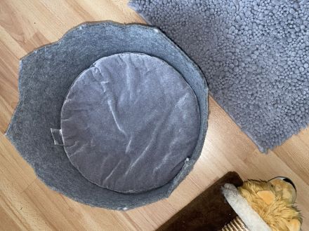 Kater der ein Zuhause sucht