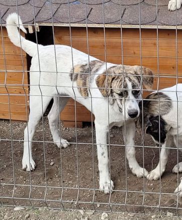 Axel sucht Dosenöffner