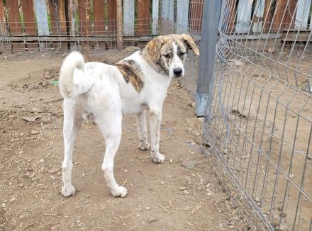 Axel sucht Dosenöffner