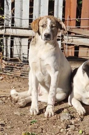 Axel sucht Dosenöffner