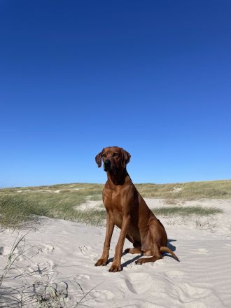 *Kito King von Lubaya*