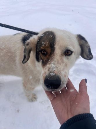 Bear - begleitest DU ihn auf dem Weg zu mehr Mut?💞