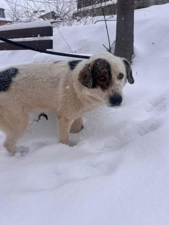Bear - begleitest DU ihn auf dem Weg zu mehr Mut?💞