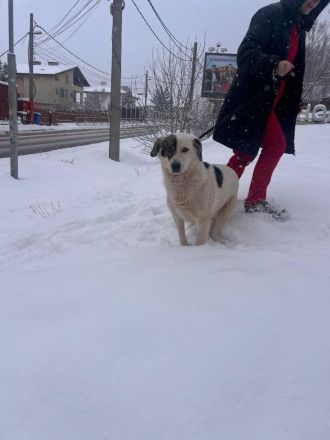 Bear - begleitest DU ihn auf dem Weg zu mehr Mut?💞