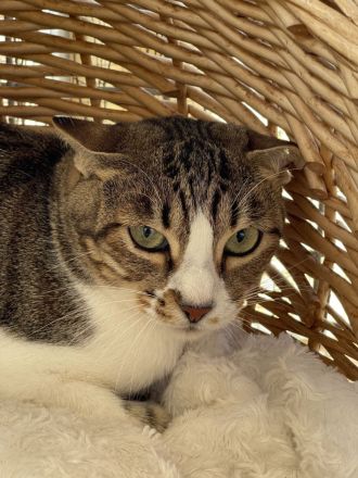 Daga - anfangs ängstlich, aber sehr liebenswert und sozial