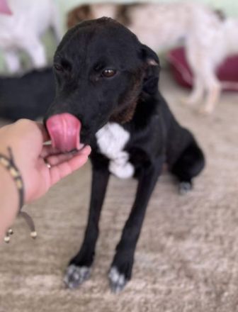 Gigi, wer zeigt ihr die Welt?