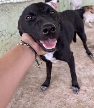 Gigi, wer zeigt ihr die Welt?