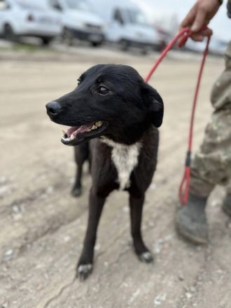 Gigi, wer zeigt ihr die Welt?