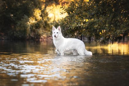 Vom Buchenwalder Forst