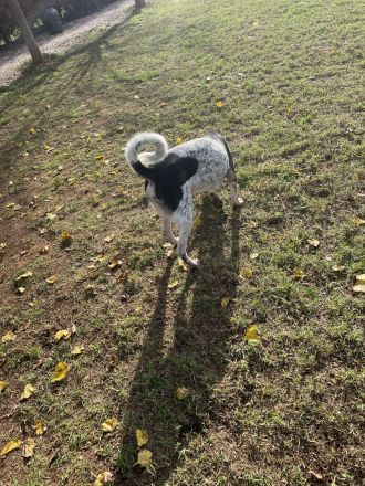 Chess und seine zweite Chance