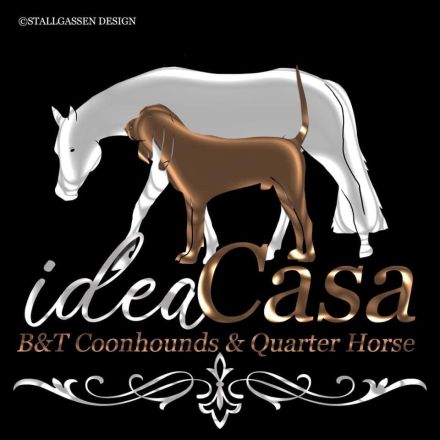 Welpen Black&Tan Coonhound