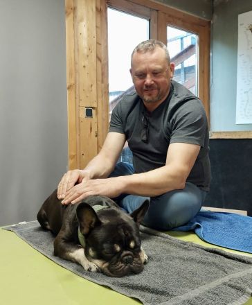 Tierphysio & Osteopathie