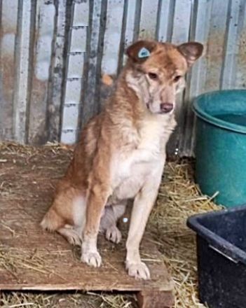 Sam (2), freundlich, unsicher und vorsichtig