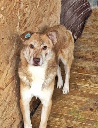 Sam (2), freundlich, unsicher und vorsichtig