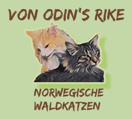 von Odin's rike