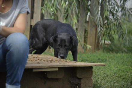 Emese sucht die Nadel im Heuhaufen