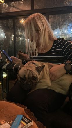 Top bitch of the French Bulldog