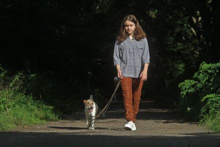 Hundezentrum Heiduk - freie Plätze in der Welpengruppe