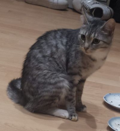 2 Zuckersüße Mädels