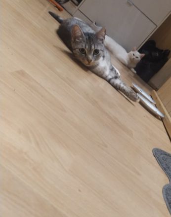 2 Zuckersüße Mädels