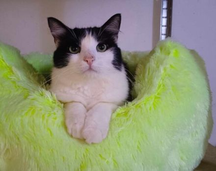 Möchtest du bald Carlos Napf füllen?