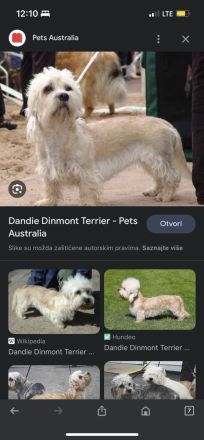 Unsere kleine. Rudi zu verkaufen