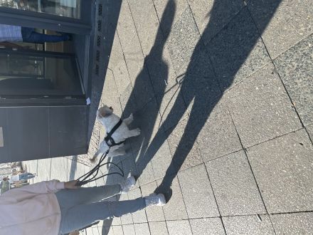 Unsere kleine. Rudi zu verkaufen