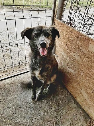 Hope, unsicher Erfahrung nötig