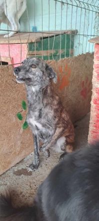 Hope, unsicher Erfahrung nötig