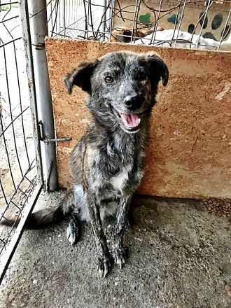 Hope, unsicher Erfahrung nötig