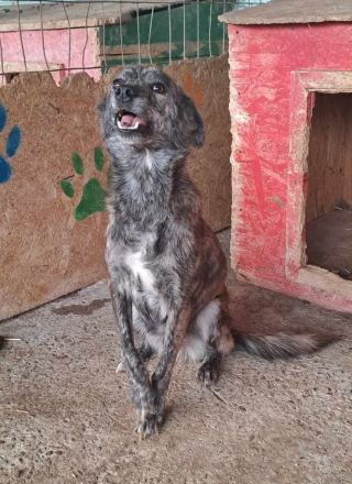 Hope, unsicher Erfahrung nötig