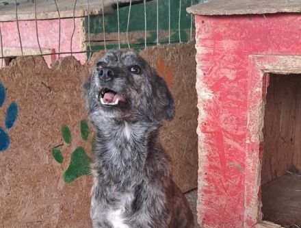 Hope, unsicher Erfahrung nötig