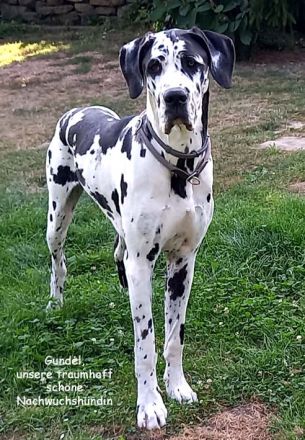 vom Lossaer Wolfsanger