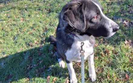 Der liebe Tobbi hat einen Wunsch