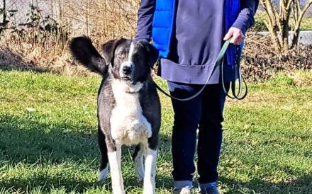 Der liebe Tobbi hat einen Wunsch