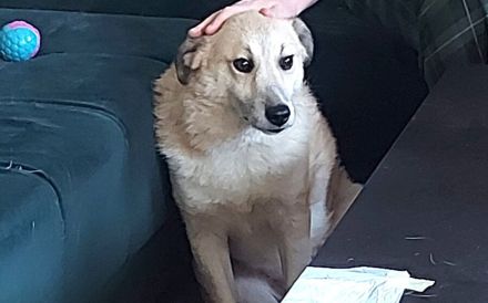 Zeigst du Thanos wie toll das Leben mit Menschen sein kann?