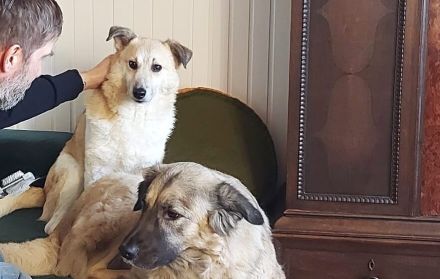 Zeigst du Thanos wie toll das Leben mit Menschen sein kann?