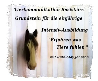 Tierkommunikation Kurs 21/22 Okt. Rastede/Niedersachsen
