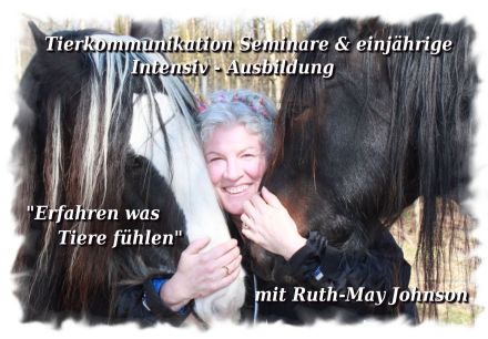 Tierkommunikation Kurs 21/22 Okt. Rastede/Niedersachsen