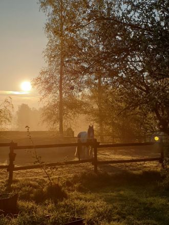 Tierkommunikation Kurs 21/22 Okt. Rastede/Niedersachsen