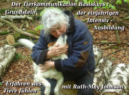 Tierkommunikation Kurs 2/3 Dez. Rastede/Niedersachsen