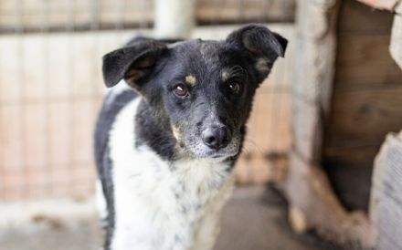 Zeigst du Faxa wie schön das Leben sein kann?