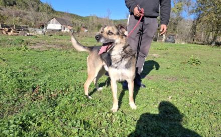 Hallo ich bin KOVO - zeigst du mir die Welt?