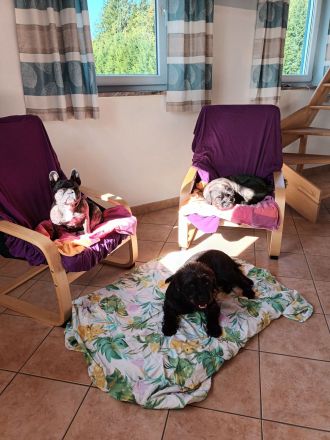 Hundepension + Tagesstätte Osterzell