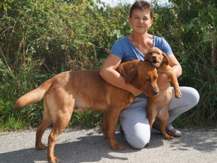 Hundepension + Tagesstätte Osterzell