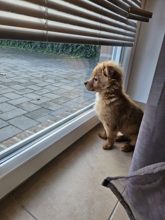 Kleine prinzessin Lolla