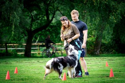 Hundecoach Melly - Mobil & Individuell