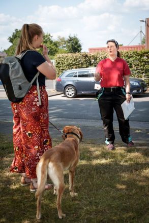 Hundecoach Melly - Mobil & Individuell