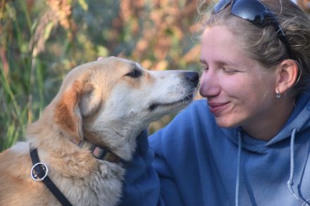 Bonbonetti, schüchterne Mischlingshündin sucht schönes, erfahrenes Zuhause