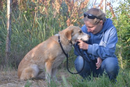 Bonbonetti, schüchterne Mischlingshündin sucht schönes, erfahrenes Zuhause
